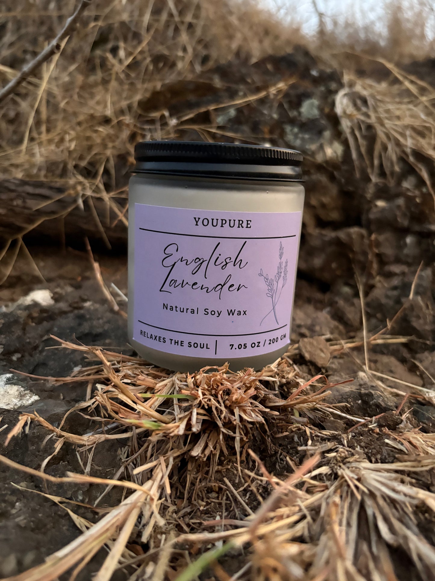 English Lavender